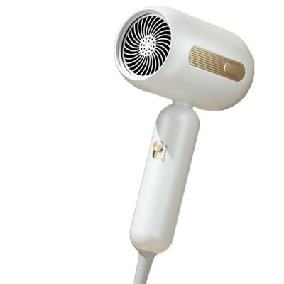 China Portable Negative Ionic Ion Hair Blow Dryer Fast Drying Hot Cool Professional Electric Hair Dryer Set For Home Use for sale