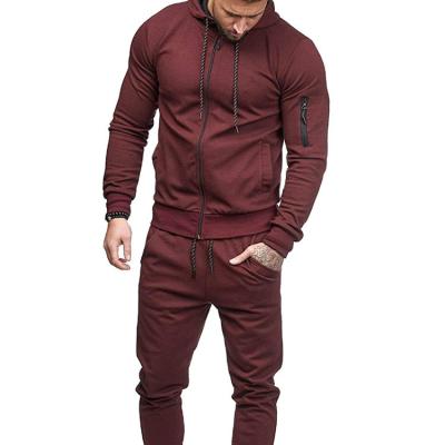 China New Fashionable Men's Sports Suit Arm Zipper Decoration Fitness Loungewear Men Tracksuit Sweatsuit QUICK DRY for sale