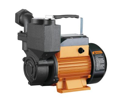 China WATERPRO 220v Family Homes Self Priming Automatic Electric Booster Pump 550w Water Pump Surface Pump Supplier For Iraq Market for sale