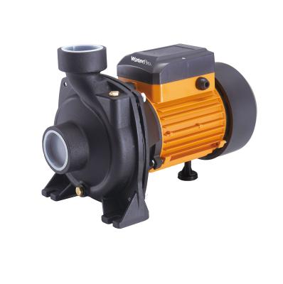 China World Water Solutions WATERPRO Developing Flow 2HP 3HP Horizontal Centrifugal Pump Cultivating Electric Irrigation Water Pump Manufacturer 2 Inch 3 Inch for sale