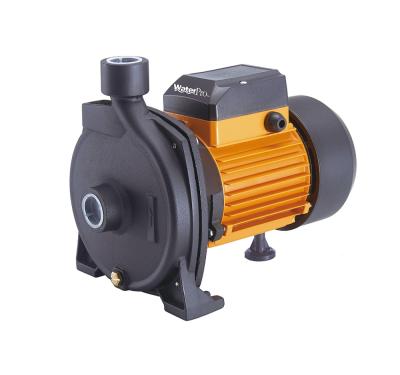 China Developing World High Efficient Outdoor Water Solutions WATERPRO CPM158 1HP Centrifugal Pump Manufacturer Electric Water Pump Supplier for sale