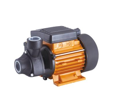 China High Efficiency WATERPRO 0.5HP 1Inch Outdoor Peripheral Outlet Pump Electric Water Pumps For Irrigation for sale