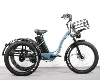 China Wholesale 250-800w 48v 10-25Ah Single Speed ​​Tire Steel Frame High Power Electric Tricycle for sale