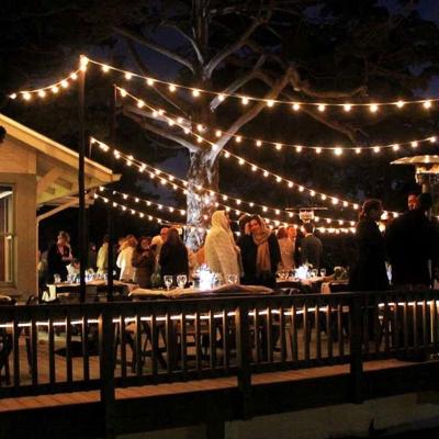 China Beautiful Led Window Curtain String Holiday Light For Wedding Party Garden Bedroom Outdoor Indoor Decoration for sale