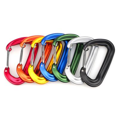 China Custom 5KN Mining Carabiner Hangs Door Aluminum Wire Rifle Swing Carabiner For Outdoor Activity for sale