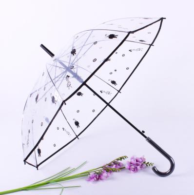 China Hot Selling Promotional Plastic Umbrellas Transparent Plastic for sale