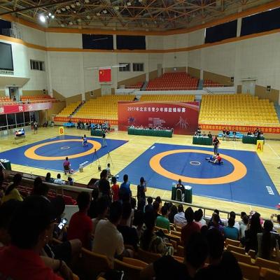 China Gym Quick Delivery Wrestling Mat For Sale for sale