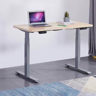 China (Height)Adjustable Electric Standing Height Table Adjustable Desks Frame 2 Leg Dual Motor Sit Stand Desk for sale