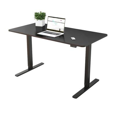 China Premium Quality Sit Stand Adjustable Standing Desk (Height) Ergonomic Office Furniture Double Adjustable Electric Motor for sale