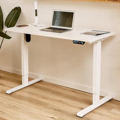 China Adjustable Modern Lightweight Luxury Desk Regular Structure (Height) Stand and Sit Desk Staff Electric Height Adjustable Desk for sale