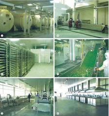 Verified China supplier - Zhejiang Guanfeng Food Machinery Co., Ltd.