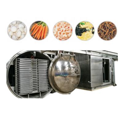 China Wholesale Authentic Vegetable Food Processing Okra Fruit Dryer Vacuum Freeze Dryer Freeze Dryer Machine For Sale for sale