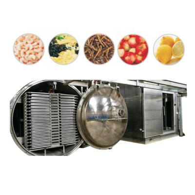 China Industrial Pet Food Freeze Chicken Freeze Dryer Vacuum Dryer Freeze Dryer for Meat for sale