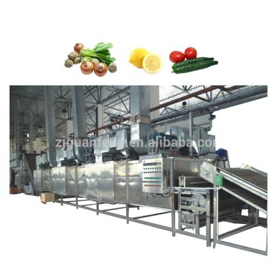 China China Food Processing Wholesale Dehydrated Onion Garlic Machine Dehydration Equipment for sale