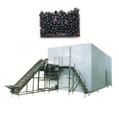 China food & Beverage plant quick freezing equipment iqf freezer pea iqf freezer for sale