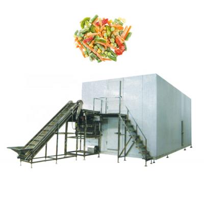 China food & Beverage Factory Blueberry Freezer Cranberry Berry Freezing Equipment for sale