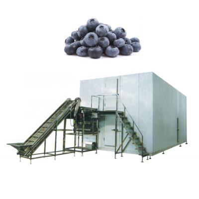 China food & Beverage Factory IQF Freezer Strawberry Meat Freezer For Sale for sale