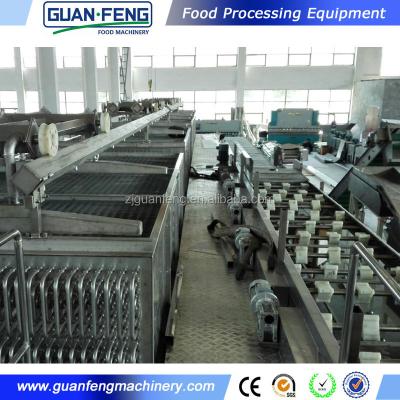 China Industrial fluidized factory blast freezers food machine iqf freezer frozen food quick freeze equipment for sale