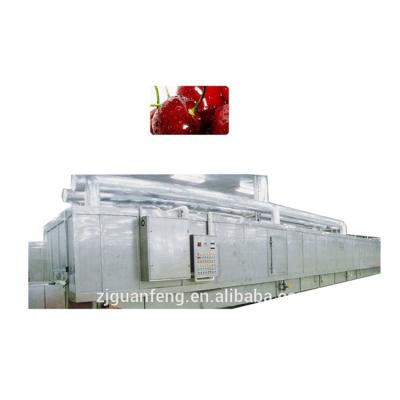 China food & Beverage Factory Wholesale IQF Tunnel Freezer Fish Freezing Equipment for sale