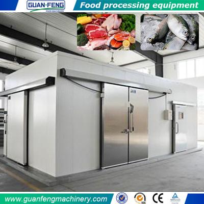 China Powerful Frozen Factory Cold Storage Fish And Meat Cold Room for sale