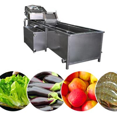 China High efficiency vegetable and fruit washing machine seed grain cleaning machine for sale