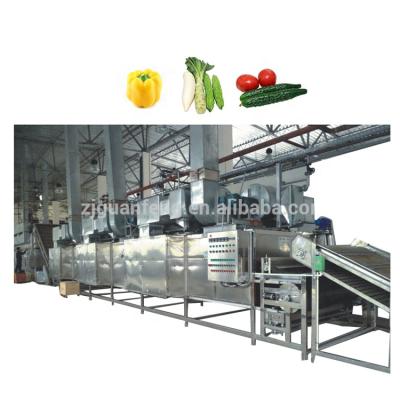 China food & Beverage Factory Custom Design Fruits And Vegetables Drying Processing Line Machinery for sale