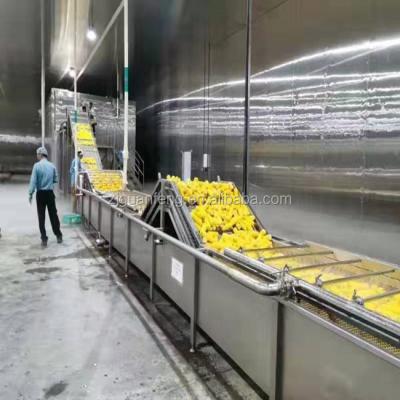 China Factory IQF Freezer Machinery Frozen Corn Cob Production Line Equipment for sale