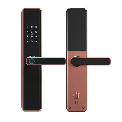 China Security Mode Fingerprint Senser Aluminum Alloy Panel Data Entry Work Fashionable Biometric Door Locks For Wooden Doors for sale