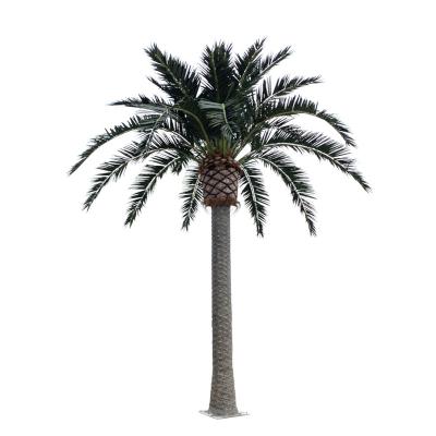 China Giant Palm Trees 8M Wind Resistant Outdoor Seaweed Wind Resistant Tall Tree UV Resistant Artificial Tree for sale