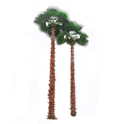 China Large Windproof Palm Customize Plants Artificial Palm Tree For Outdoor Mall Beach Fiberglass Tree for sale