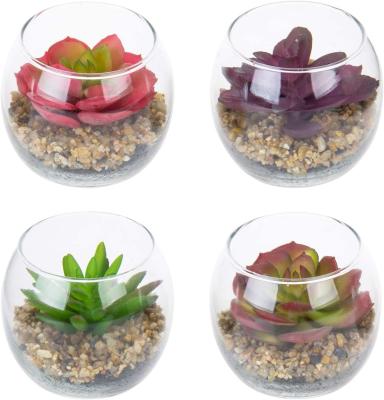 China Eco-friendly Mini Assorted Artificial Succulent Plants With Modern Clear Round Glass Vases Home Office Decoration for sale