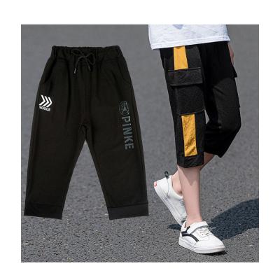 China Thin Ice Silk Capris Style Anti-pilling Pants Shorts Free Time Movement Elastic Force Work Wear Pants Korean Easy Style Boys for sale