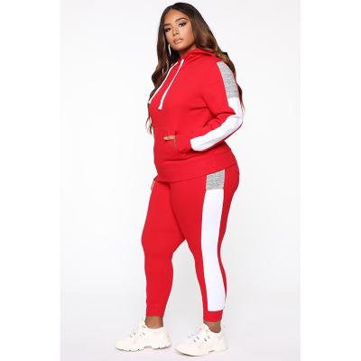 China Viable Custom Joggers Two Piece Set Long Sleeve Plus Size Thick Hoodies Women Plain Hoodies for sale