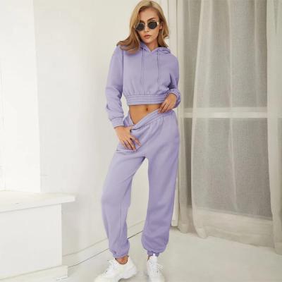 China Breathable Two Piece Set Women's Hoodies Trackers Long Sleeve Drop Sweatsuit Tracksuit Unisex Custom Women Sets Hoodie for sale