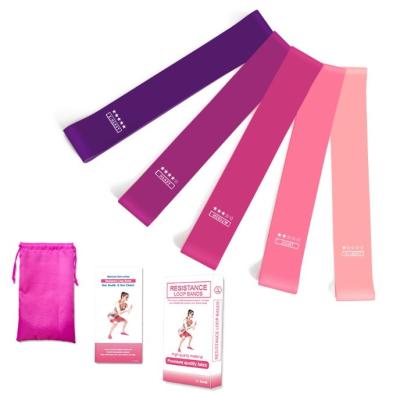 China 2020 Hot Selling Pink Purple Set Of Durable Latex Exercise Bands Set Of 5 Of Mini Resistance Loop Bands for sale