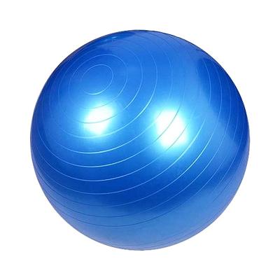 China Anti-shatter and 65cm 95cm Gym Exercise Pilates Durable Back Muscle Relax Ball Pump PVC Premium Black Yoga Ball With Base for sale