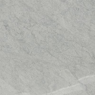 China Large Carrara White Super Thin Wall 8mm Marble Slab With Palm Plate For Wall And Floor Decoration for sale