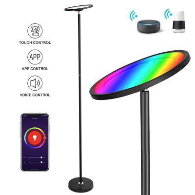 China Modern Dimmable Floor Lamp , Smart WiFi Color Changing LED Position Lamp for sale