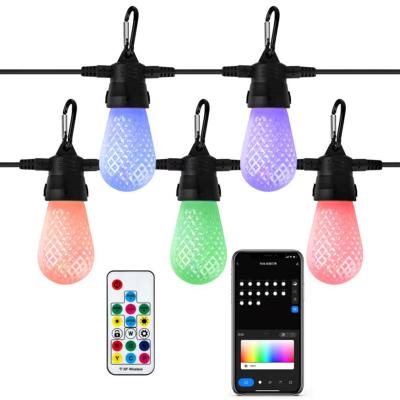 China Outdoor Smart Colorful LANDSCAPE LED WiFi Remote Control LED String Light Bulb Lights for sale