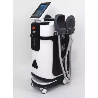 China Weight Loss Muscle Stimulatorems Health Pelvic Physio Weight Loss Body Shaping Slimming Machine For Clinic for sale