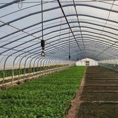 China JX-A0078 Large Film Solar Greenhouses Steel Structure Single Span Tunnel Greenhouse for sale