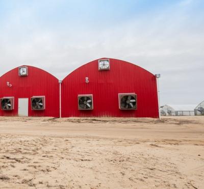 China Blackout Mushroom Greenhouse voor grootschalige productie en teelt van paddenstoelen Te koop