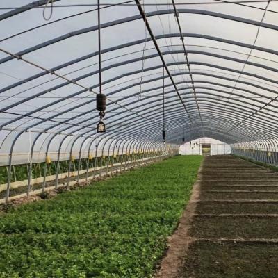 China Convenient Return Refunds for Our Innovative Drip Irrigation Tunnel Greenhouse Kit for sale