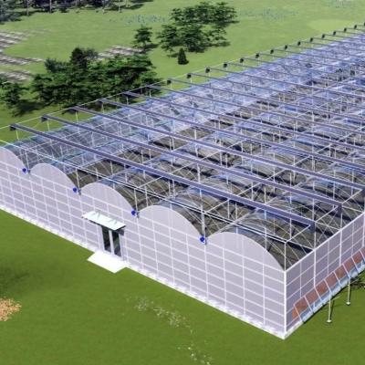 China Roofing Shape Arched Roof Eco Greenhouse for Vegetables/Grow Saplings Hot Water Heating for sale