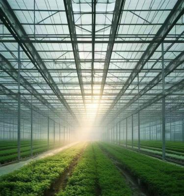 China Vegetable Cultivation Greenhouse with Snow Vibrator Return refunds within 30 Days for sale