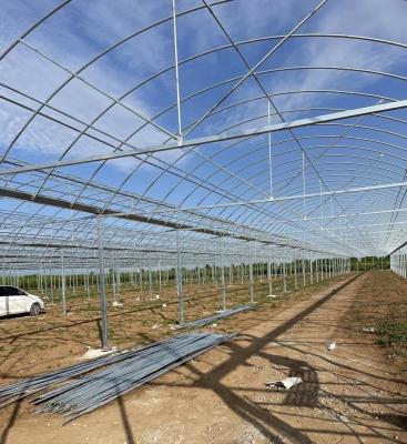 China Large Multi-Span PE/Po Plastic Film Agricultural Greenhouse with Hydroponics System for sale