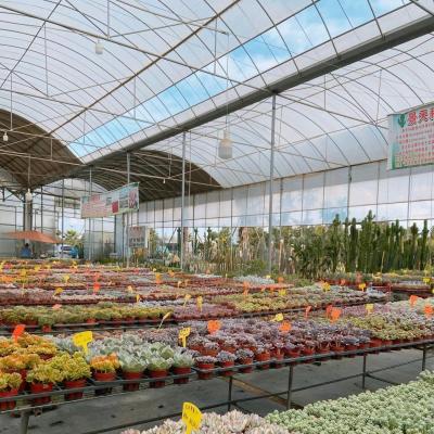 China Multi Span Greenhouse with Shading 30 Days Return Refunds Now in Limited Time Offer for sale