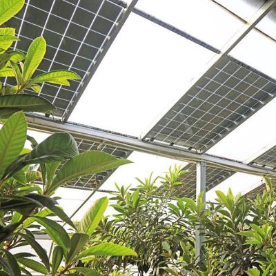 China PE/Po Plastic Film Photovoltaic Greenhouse Innovation 1209.00cm * 235.00cm * 239.00cm for sale