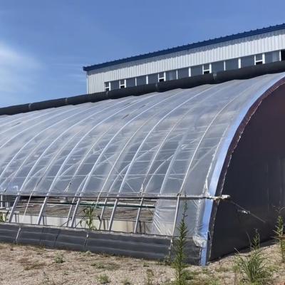 China Arched Roof Greenhouse The Ultimate Sunlight Solution for Tomato and Cucumber Farming for sale