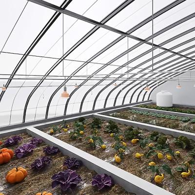 China Full Payment Juxiang prime s Illuminate Sunlight Greenhouse for Tomato Film Cover Material for sale